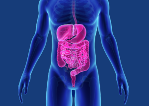 Bild von Entitätenspezifische Qualitätskonferenz zu gastrointestinalen Tumoren