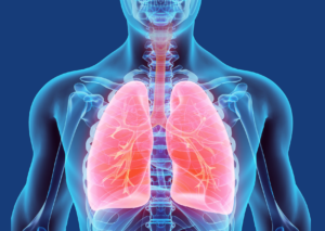 Bild von Entitätenspezifische Qualitätskonferenz zum Lungenkarzinom